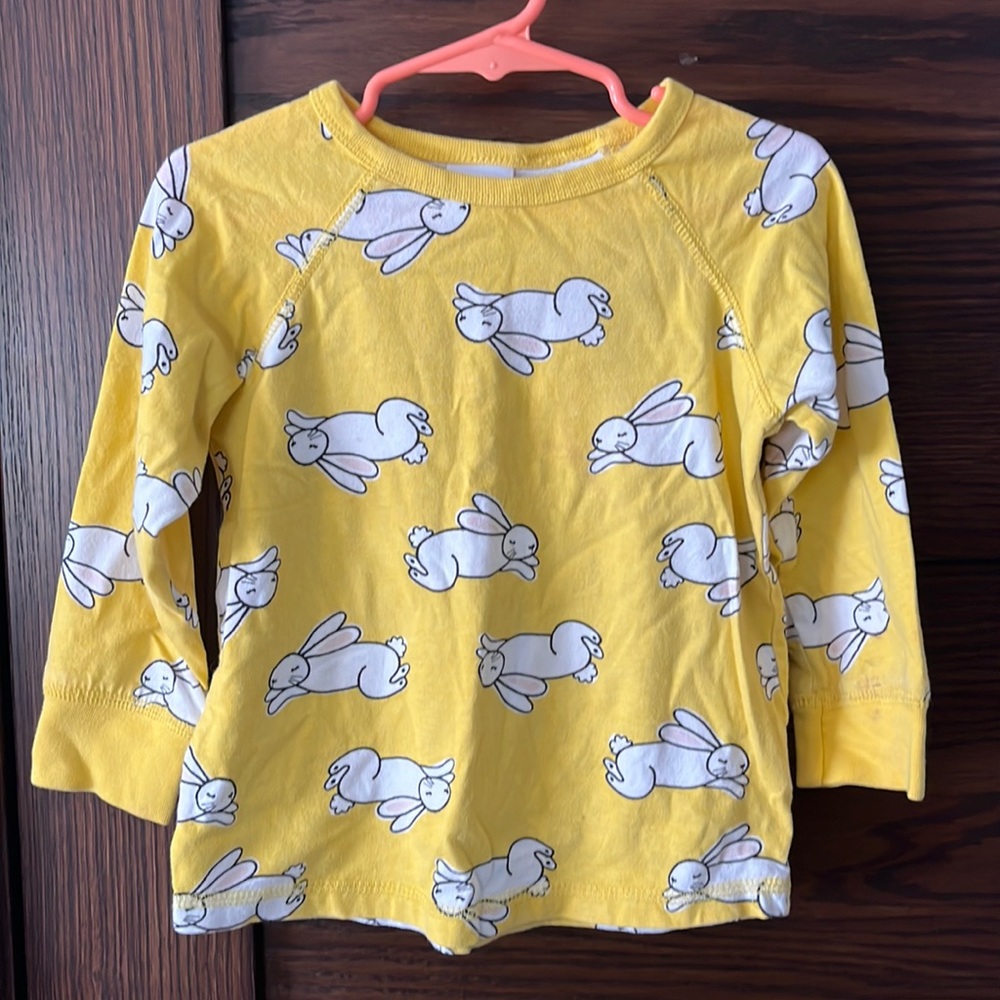 Hanna Andersson bunny Shirt size 90 (3T)
